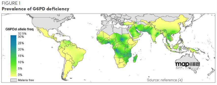G6PD deficiency prevalence and variants 350 million people affected globally Prevalence varies