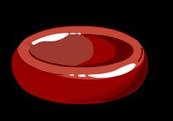 Red blood cells 27 of 36 Blood is made up of a