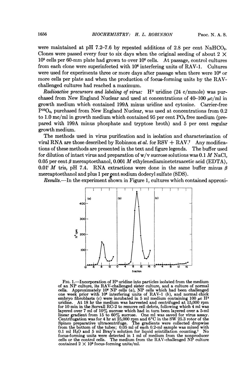 1656 BIOCHEMISTRY: H. L. ROBINSON PROC. N. A. S. I II I I (a) Wb Ic) 400A were maintained at ph 7.2-7.6 by repeated additions of 2.8 per cent NaHCO3.