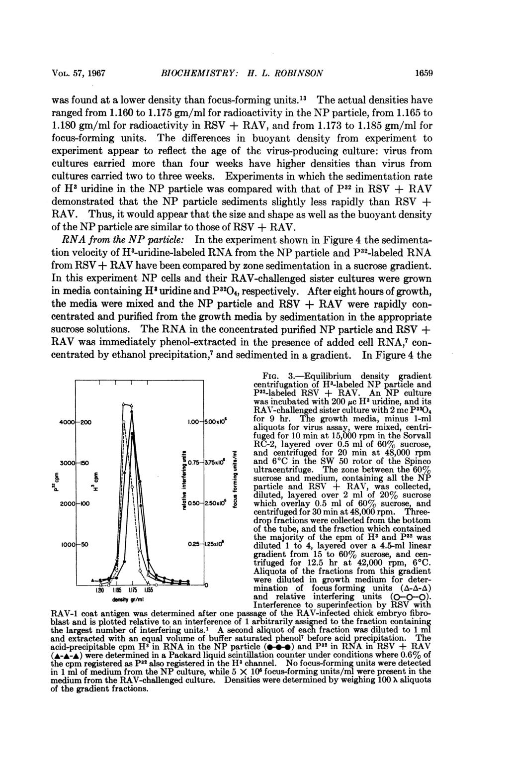 VOL. 57, 1967 BIOCHEMISTRY: H. L. ROBINSON 1659 was found at a lower density than focus-forming units.'3 The actual densities have ranged from 1.160 to 1.