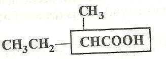 4 (ii) 2-methylbutanoic acid 3.