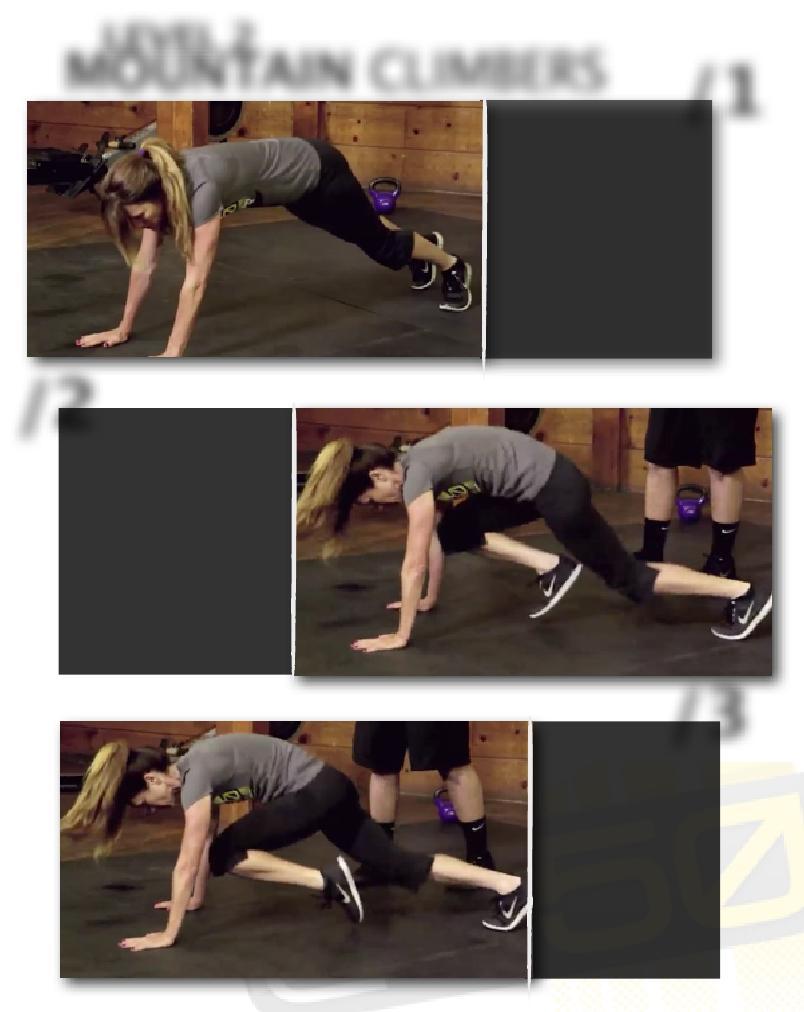 LEVEL 2 MOUNTAIN CLIMBERS /Start position is same as in alternating toe taps - in the plank with feet and palms planted on the ground.
