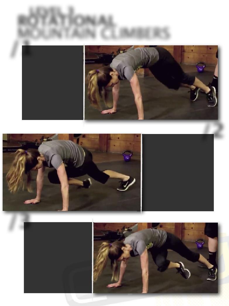 LEVEL 3 ROTATIONAL MOUNTAIN CLIMBERS PAGE 12 /1 /Movement starts in a plank.