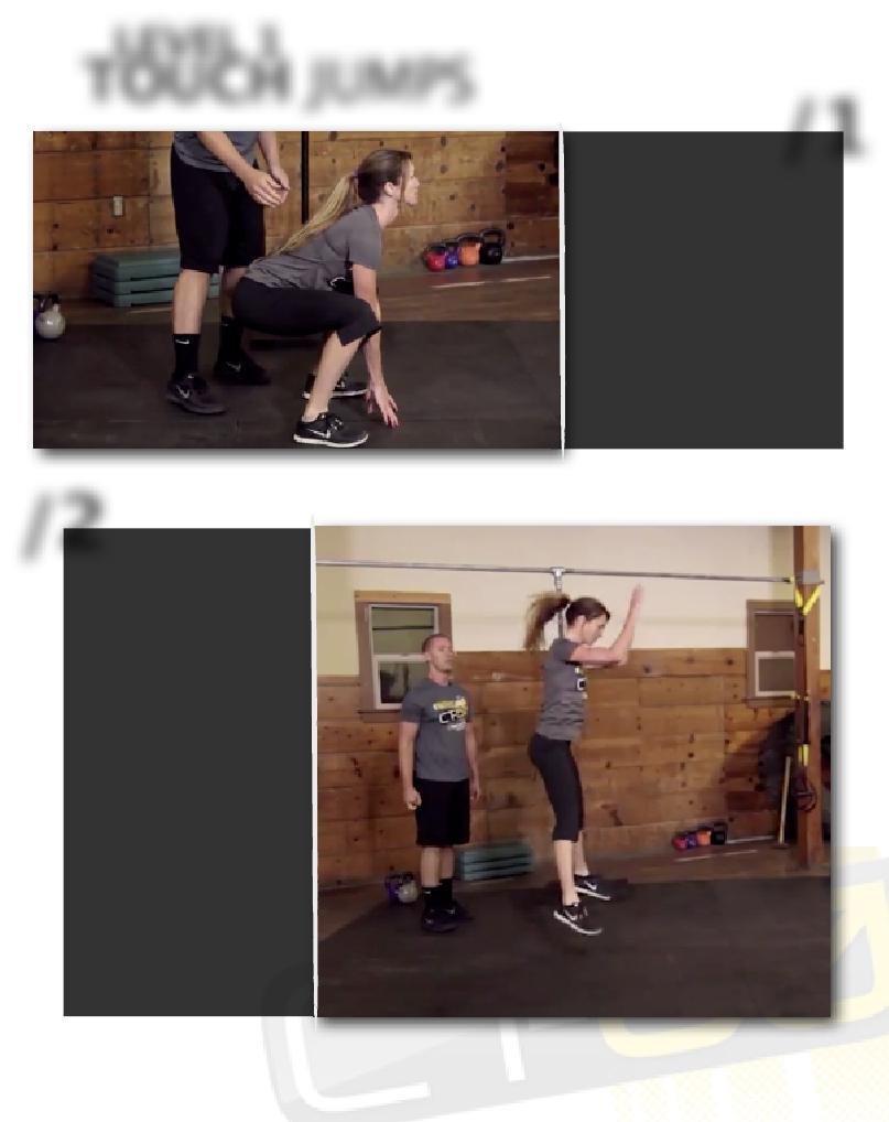 LEVEL 1 TOUCH JUMPS PAGE 16 /Begin in squat /1 position with your back flat and your weight situated in the heels.