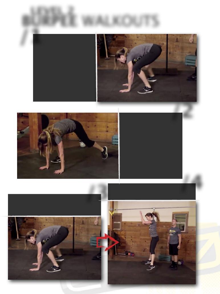 LEVEL 2 BURPEE WALKOUTS PAGE 17 /1/Start with you hands and feet on the ground. With your feet about shoulder width apart.