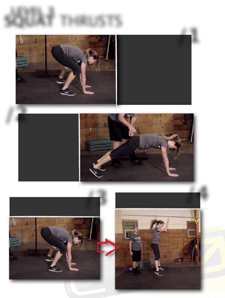 LEVEL 3 SQUAT THRUSTS /As in the burpee walkouts, the movement starts with hands and feet both firmly on the ground.