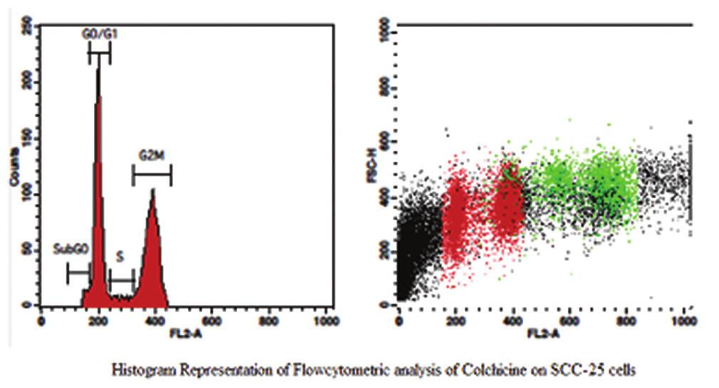 Figure 1: Histogram representation of flow cytometric analysis of the aqueous extract of Graviola at 25 µg/ml concentration on squamous cell carcinoma-25 cells Figure 2: Histogram representation of