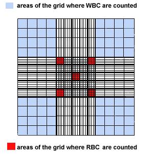 W W W W Count the RBCs in 5 medium squares (4 at the 4 corners & 1 in the center) inside the central large square.