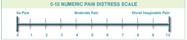 Assessment Tool #1 Level of Pain Scale Evaluate patient on a scale from 0-10 or document non-verbal behavior(s).