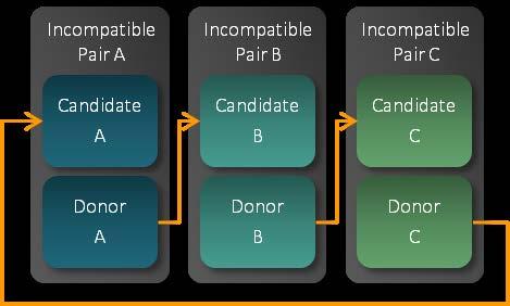 The N-Way Exchange involves more than two pairs where the donor of the last pair must match the candidate of the first pair.