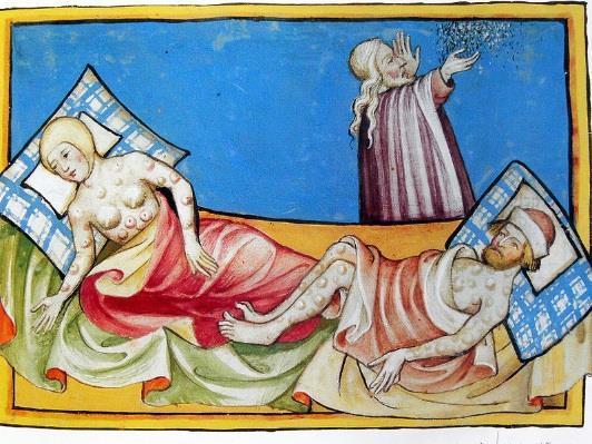 Case Study: The Black Death 1348 In 1348 a new plague, the Black Death, reached England. It was spread by fleas and the main symptom was large, painful buboes.