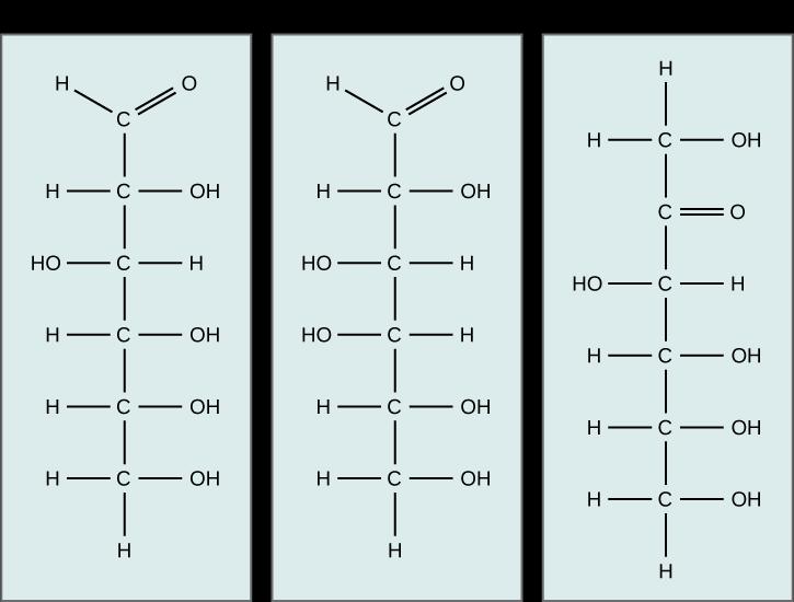 Carb subtypes Monosaccharides simple sugar Between 3 and 7 carbons