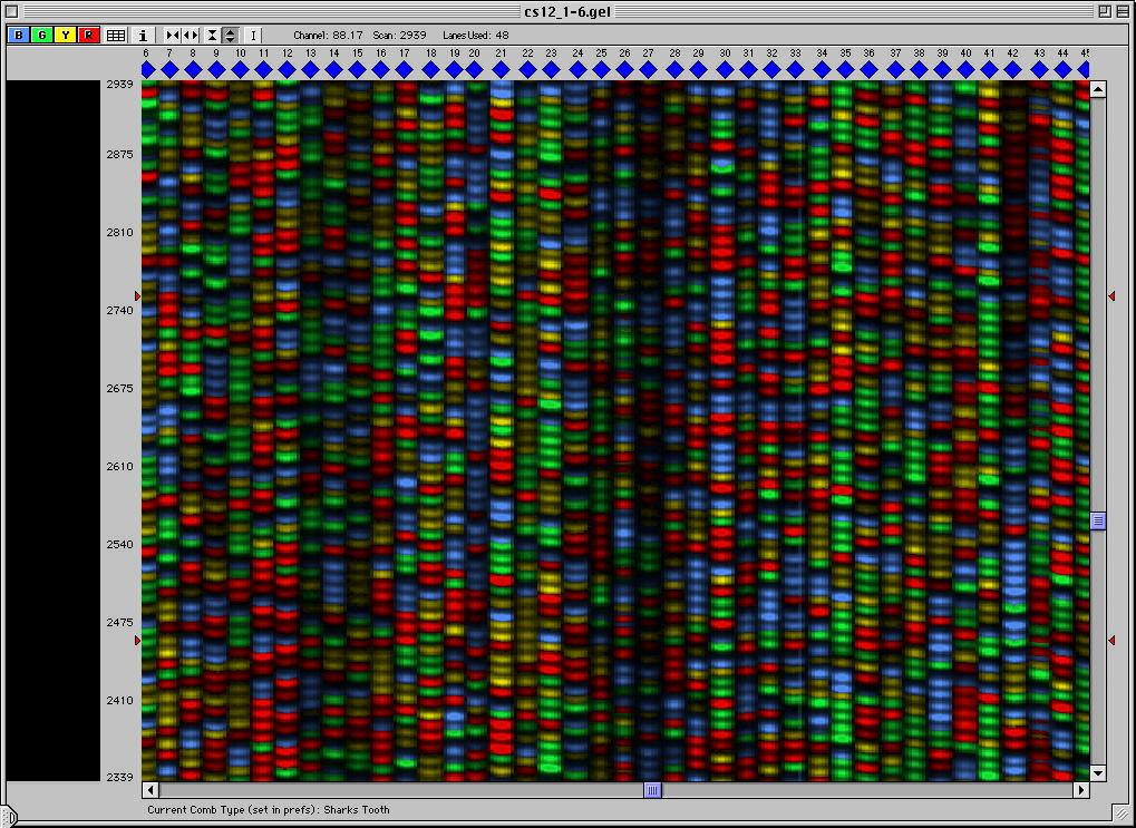 Fluorescent DNA Sequencing Data Eric Green, NHGRI