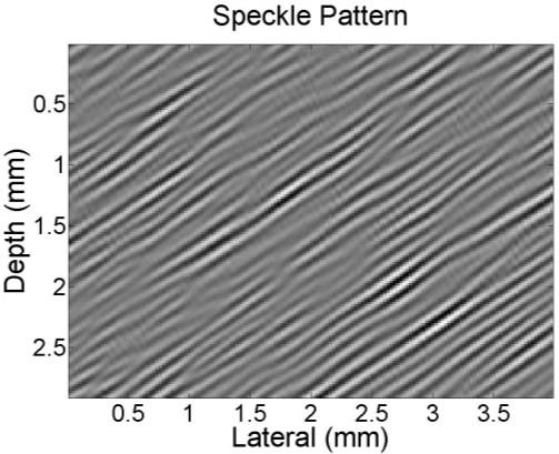 (d) (f) the power spectrum of the speckle pattern.