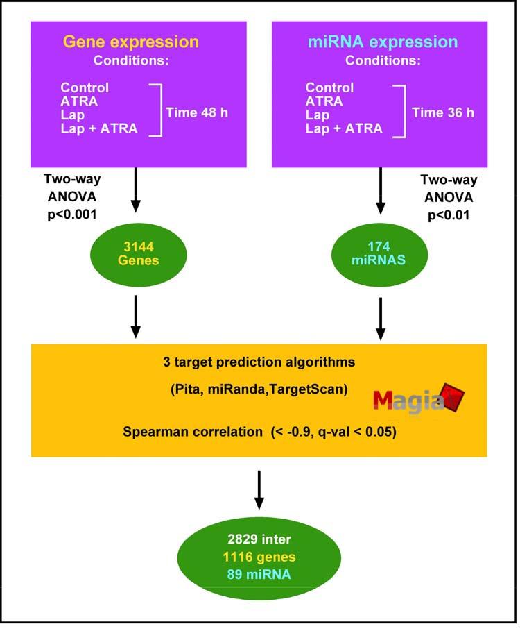 Supplementary Figure S2: Flow chart of mir and target-mrna integrated analysis.