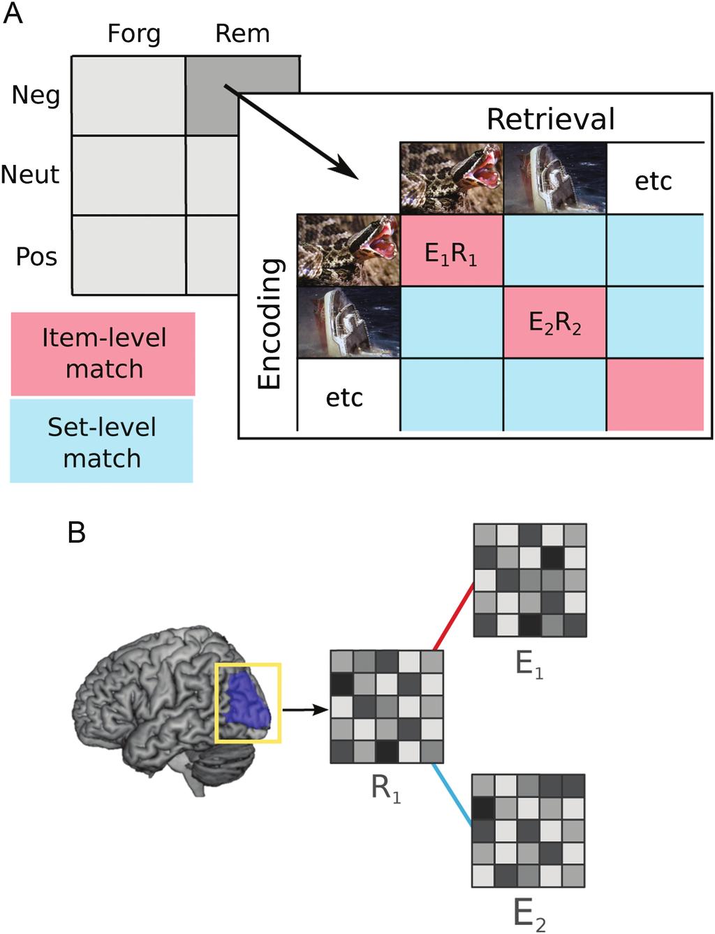 There is extensive evidence that emotional arousal increases the strength and vividness of declarative memories, thought to arise from its inﬂuence on encoding and consolidation processes (LaBar and