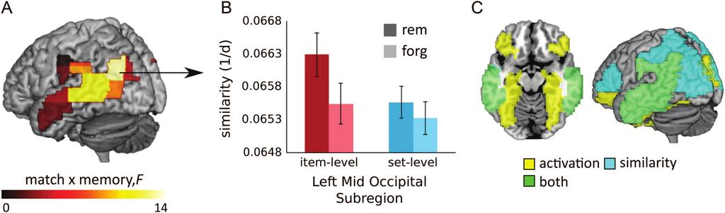 mean correlation between encoding and retrieval patterns in calcarine ROI was 0.23 (subject range: 0.10 0.34) for remembered items (Fig. 2C).