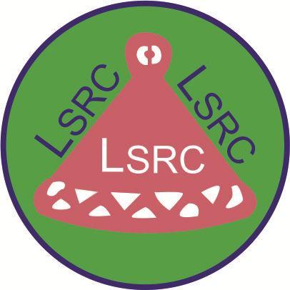 LESOTHO SPORT & RECREATION COMMISSION