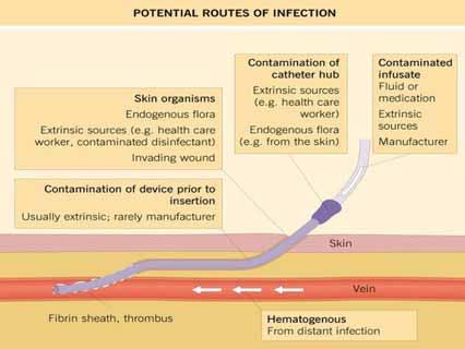Complications of CVC Mechanisms of infection