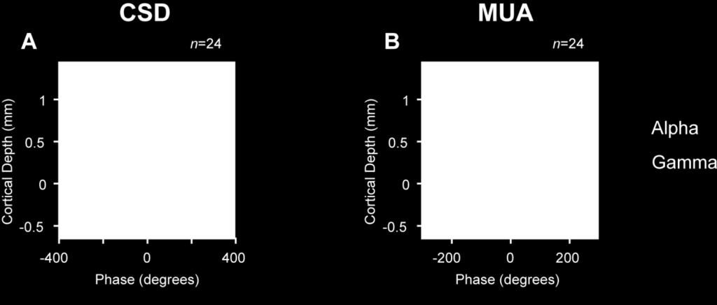 30 Fig. S13. Phase differences of the CSD and MUA in the different layers relative to the LFP in layer 4.