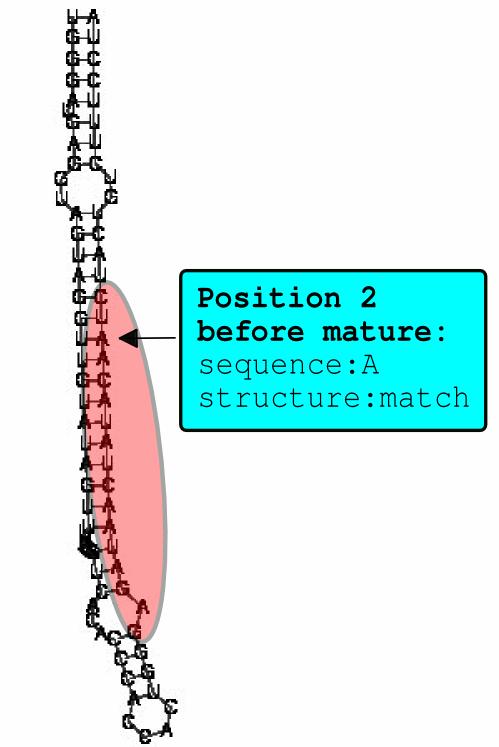 Position oriented features Example of a