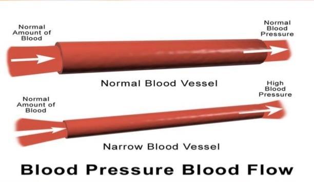 Blood Pressure and its Regulation Blood pressure in your blood vessels is closely monitored by baroreceptors; they send messages to the cardio regulatory center of your medulla oblongata to regulate