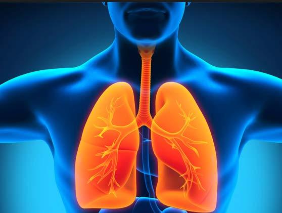 Lungs & Oral Health 20 Million Americans have Asthma Medications