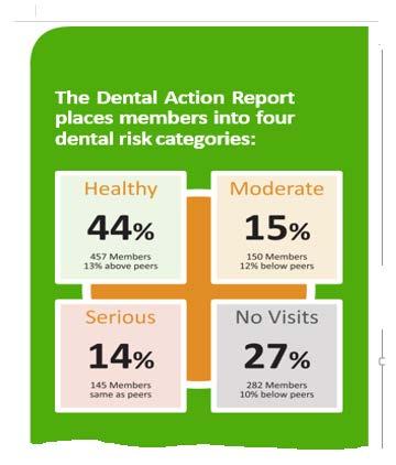 The Dental Action Report Places Members Into Four Risk Categories Healthy - These members had preventive care only.