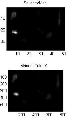 Figure 2.6: Example saliency map atwo-dimensionalform.
