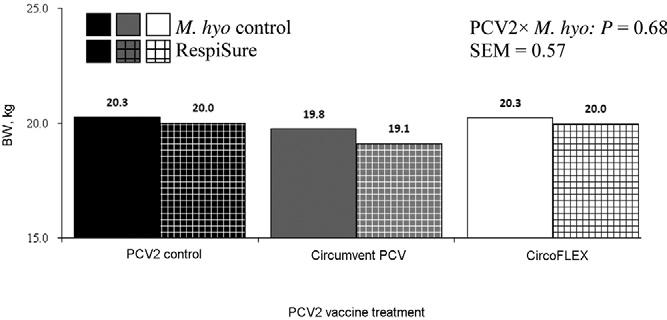 Diet and vaccine effects on nursery growth 4069 Figure 1. The effect of porcine circovirus type 2 (PCV2) vaccination and Mycoplasma hyopneumoniae (M. hyo) vaccination on d-35 pig BW (Exp. 2).