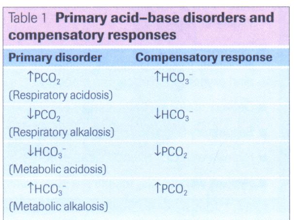 結果分析 Primary Blood Gas Classifications