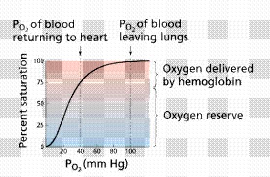 Oxygen dissociation curve