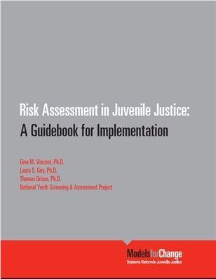 Risk Assessment in Juvenile Justice: Guidebook to Implementation 8 Steps to