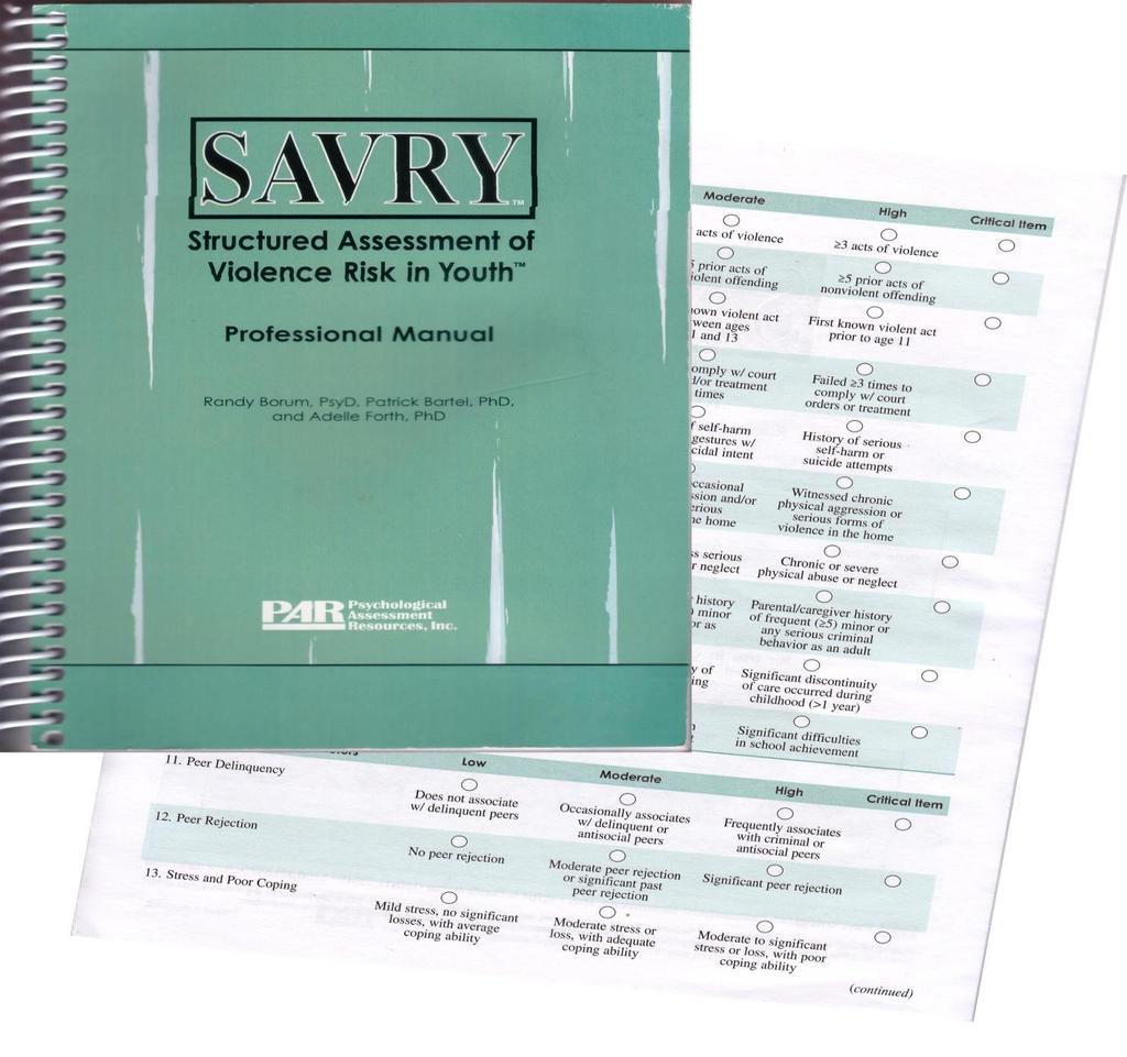 SAVRY: Evidence-Based Risk Assessment Structured Professional Judgment 24 Risk Items - 10 Static