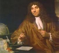 Anton van Leeuwenhoek late 1600 s Leeuwenhoek made many simple microscopes