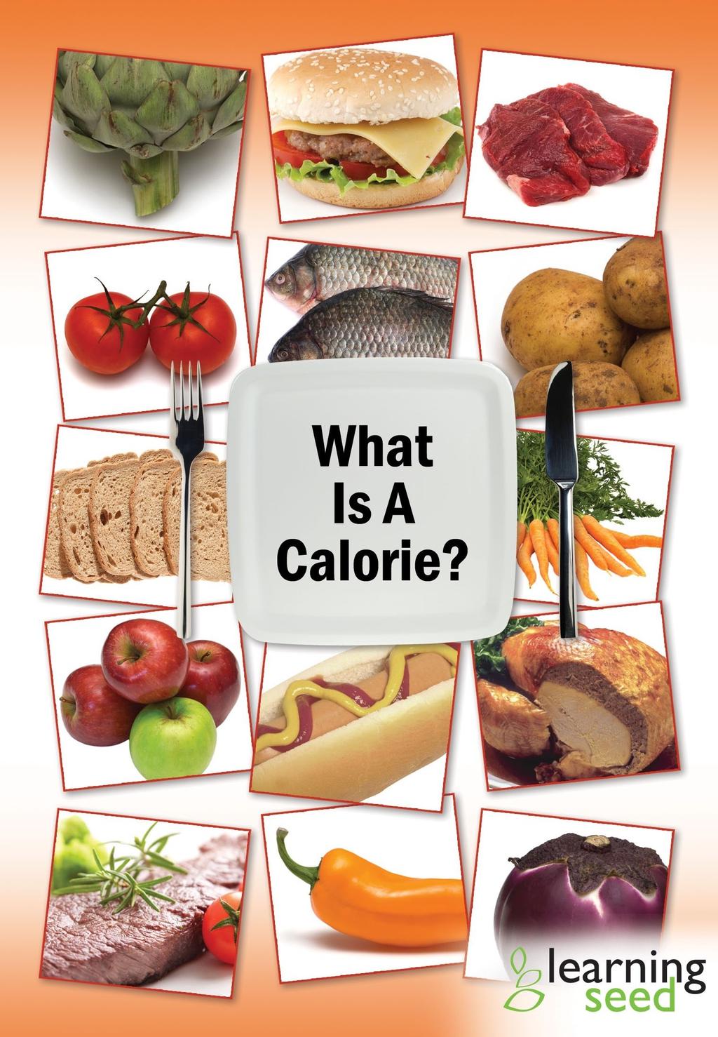 What Is A Calorie?