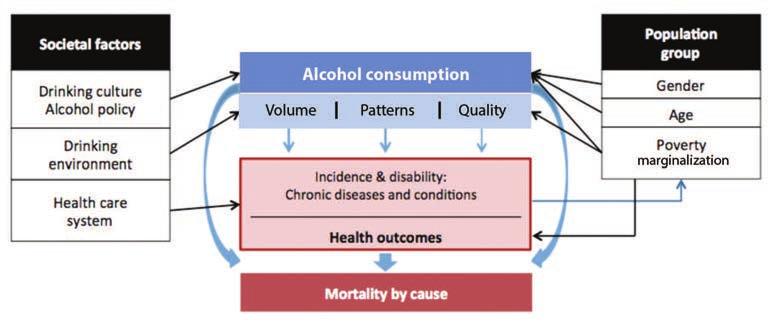 tion/exacerbation and treatment of various chronic diseases and conditions. It also assesses the methods used to calculate the impact of alcohol consumption on chronic diseases and conditions.