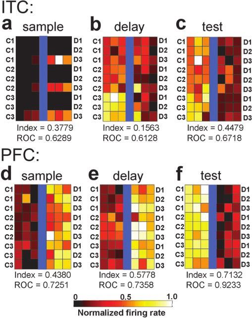 Freedman et al. Comparison of PFC and ITC during Visual Categorization J. Neurosci., June 15, 2003 23(12):5235 5246 5239 cat/dog categorization task.