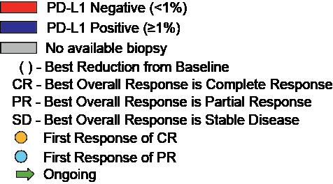 1L (CR, PR or SD) All patients with