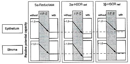 drastically reduced, but that the inhibitory effect of the fpe on the three enzymes is different.
