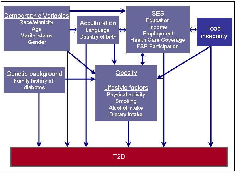 32 Figure 1. A framework of factors in relationship to type 2 diabetes risk FSP: Food Stamp Program, SES: Socioeconomic status.