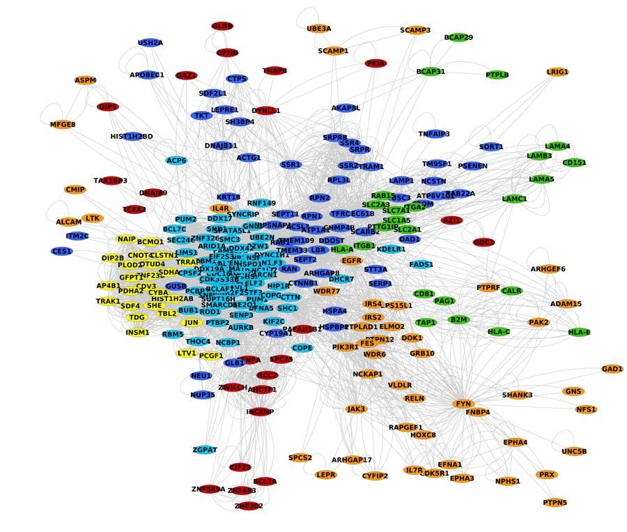 22 (B) Figure 1. Dengue (A) and West Nile (B) gene networks using protein-protein interactions of differentially expressed genes from gene expression arrays. Module membership is represented by color.