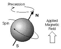 All protons in the body function as tiny magnets.