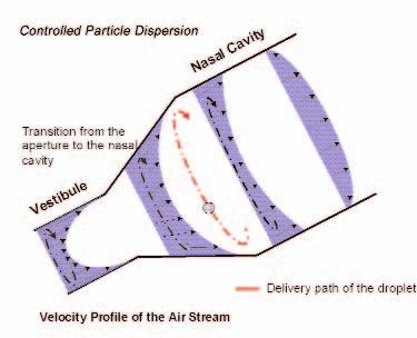 F I G U R E 4 Vortical Droplet Flow Created by Controlled Particle Dispersion nebulizer particles needs to be proportionally larger to ensure comparable amounts of drug delivery.