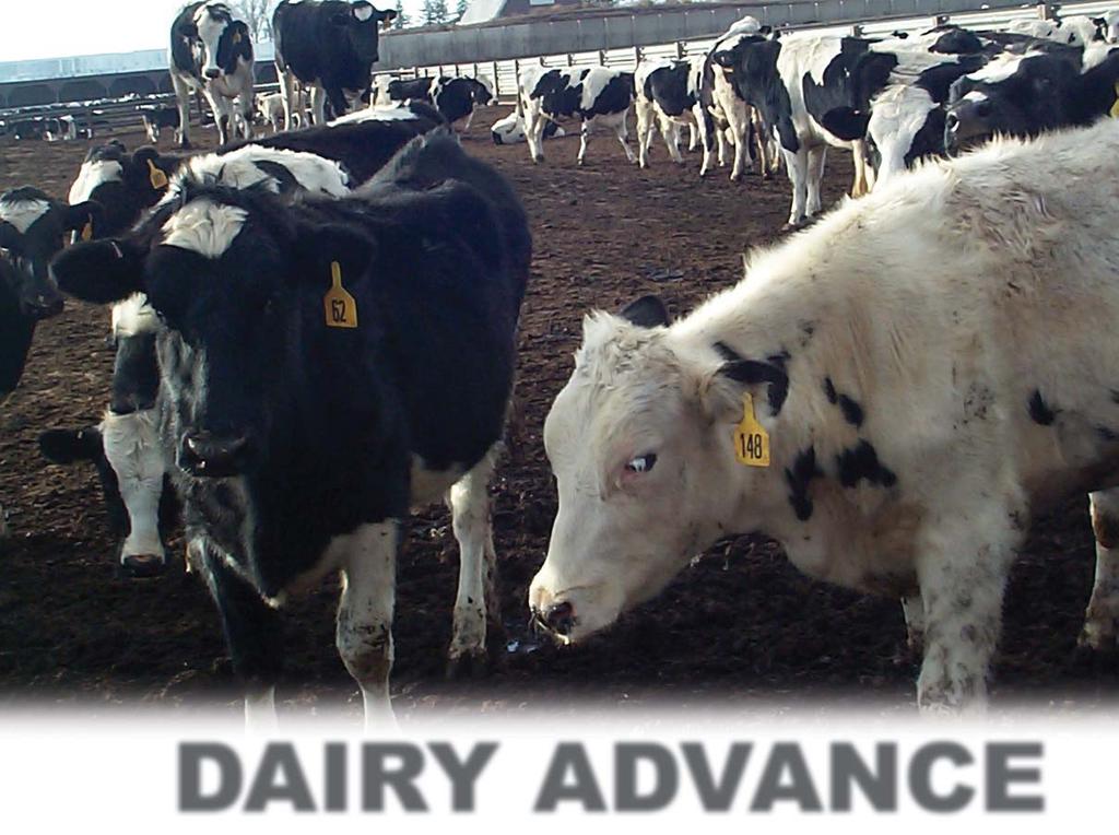 WHAT DAIRY ADVANCE CAN DO FOR YOU Let us show you how prevention has proven to put much needed money back into your operation.
