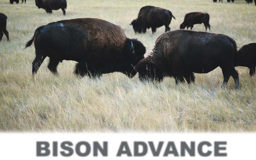 WHAT BISON CAN DO FOR YOU Let us show you how prevention has proven to put much needed money back into your operation.
