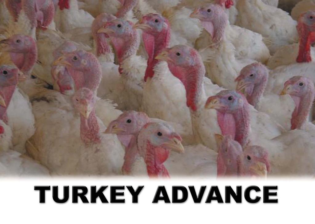 WHAT POULTRY & TURKEY ADVANCE CAN DO FOR YOU Let us show you how prevention has proven to put much needed money back into your operation.