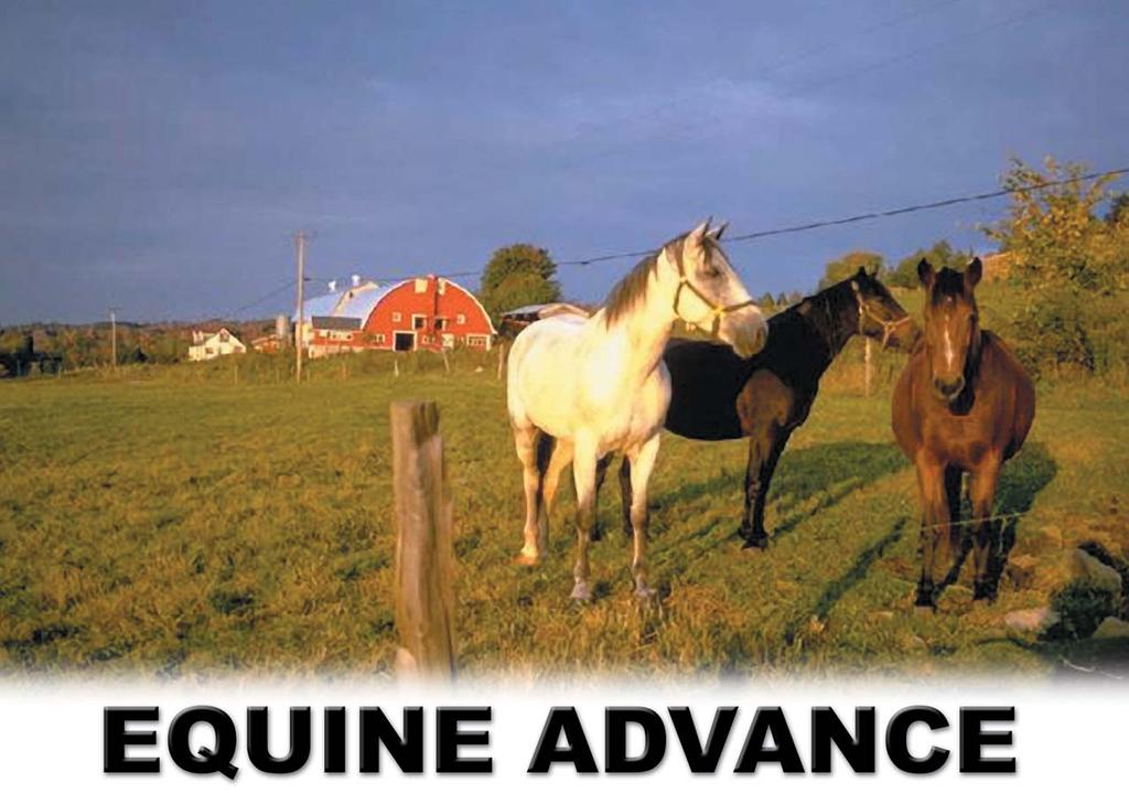 Equine Health and Shine is a nutritional supplement that is fed to all classes of horses. Product is designed to be fed to the animals already balanced ration.