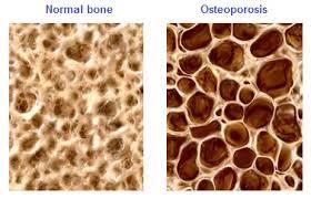 compounds are stored Minerals such as calcium are deposited by bone