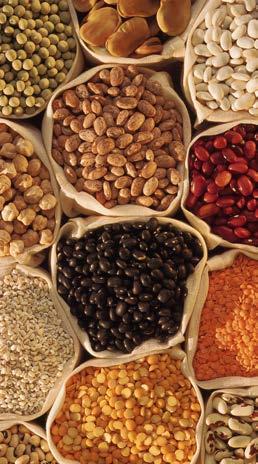 Choose plant proteins more often: beans, peas, lentils, nuts, seeds, and soy products